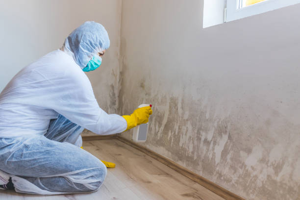 Mold Remediation specialist working in Ellicott City