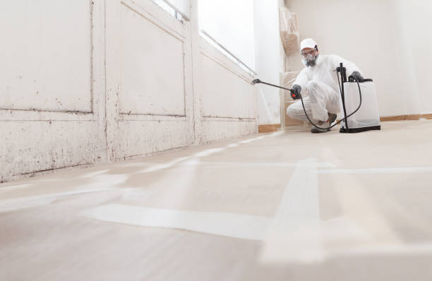 Black mold remediation team in Ellicott City
